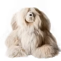 Soft Light Beige Gorilla Plush Doll With Fluffy Fur In Sitting Position