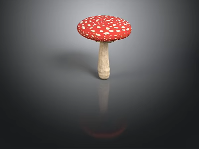 Red and White Spotted Mushroom with Red Cap White Spots and Reflection on Dark Surface 3d model