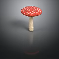 Red and White Spotted Mushroom with Red Cap White Spots and Reflection on Dark Surface
