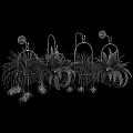 Hanging Garden Decor With Green Ferns In Black White Pots And Metal Hooks