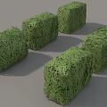 Six Green Cube Shaped Shrubs Neatly Arranged on Gray Background 3d model