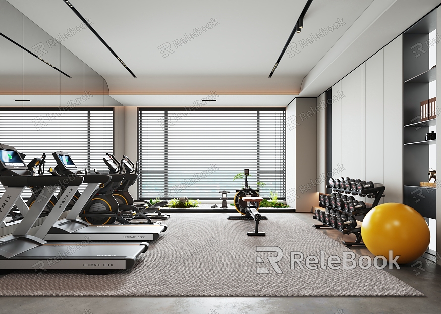 Modern Gym Home Gym model