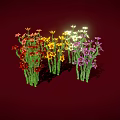 Multicolored Flowers With Red Yellow White Purple Blooms And Green Stems On Dark Red Background