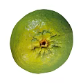 Fresh Green Pomelo Fruit With Natural Textured Skin And Smooth Surface