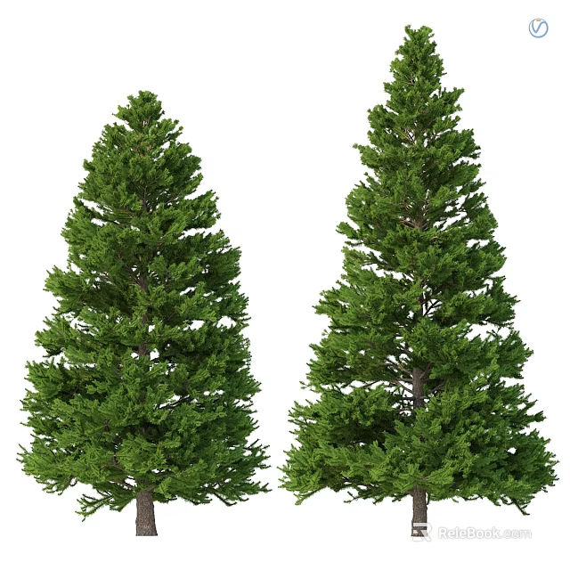 Two Green Pine Trees As Garden Ornament With Lush Foliage And Natural Design 3d model 