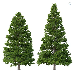 Vintage Gardening Sits Wood Series Spruce Pine Forest 3d model
