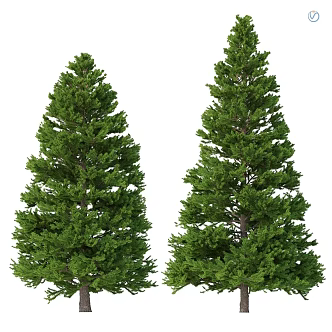 Vintage Gardening Sits Wood Series Spruce Pine Forest 3d model