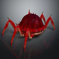 Red Crab With Spiky Shell And Multiple Legs On Dark Background With Reflection