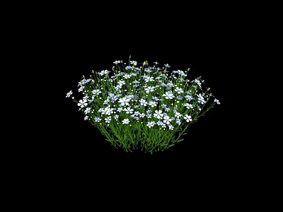 Lush Green Shrub With White Small Flowers Growing In Garden Area 3d model