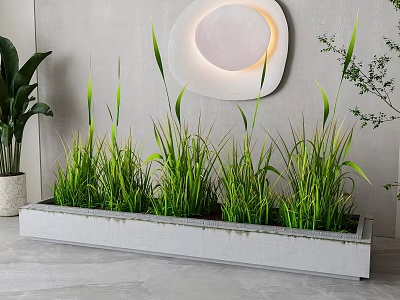 Green Grass Potted In Rectangular Concrete Planter With Modern Wall Decor 3d model