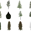 The Modern Tree 3d model