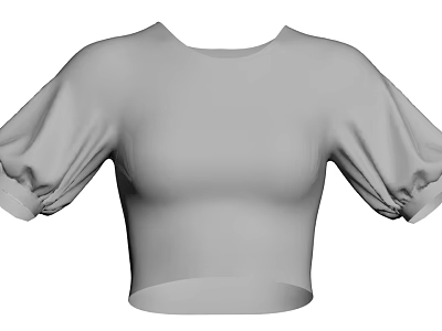 Stylish Cropped Top With Puffed Sleeves And Round Neck Design 3d model