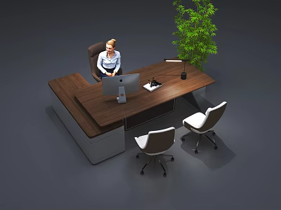 Wooden Office Desk with Computer Monitor Green Plant and Two Chairs in Modern Workspace 3d model