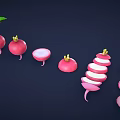 Fresh Red Radish Vegetable Display With Whole Halved And Sliced Pieces On Dark Background