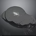 Shiny Silver Metallic Shell With Reflective Surface On Black Background
