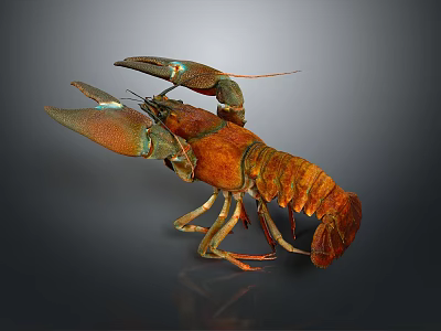 Vibrant Orange Lobster With Detailed Claws And Colorful Shell Aquatic Animal 3d model