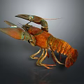 Vibrant Orange Lobster With Detailed Claws And Colorful Shell Aquatic Animal