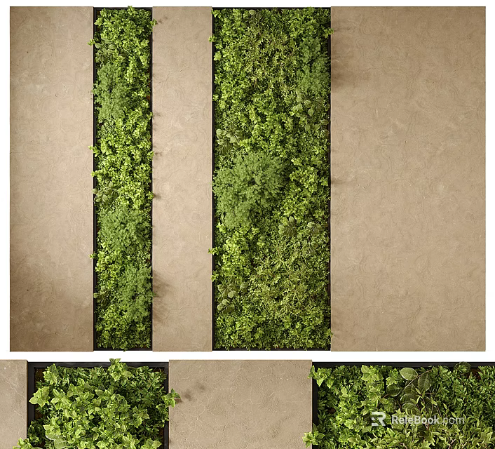 Lush Vertical Green Living Wall Design With Dense Foliage For Indoor Decor 3d model 