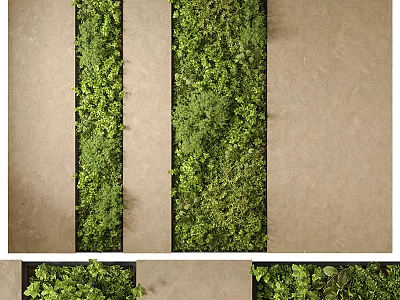 Lush Vertical Green Living Wall Design With Dense Foliage For Indoor Decor 3d model