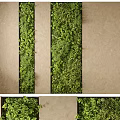 Lush Vertical Green Living Wall Design With Dense Foliage For Indoor Decor