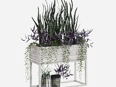 Potted Bonsai Plants On White Wooden Stand Featuring Long Striped Leaves Purple Foliage Hanging Vines 3d model