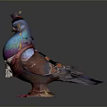 Colorful Pigeon With Vibrant Feathers Wearing Small Hat And Monocle With Decorative Chain