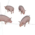 Four Pink Reptiles Foraging On Sunlit Green Grassland Habitat
