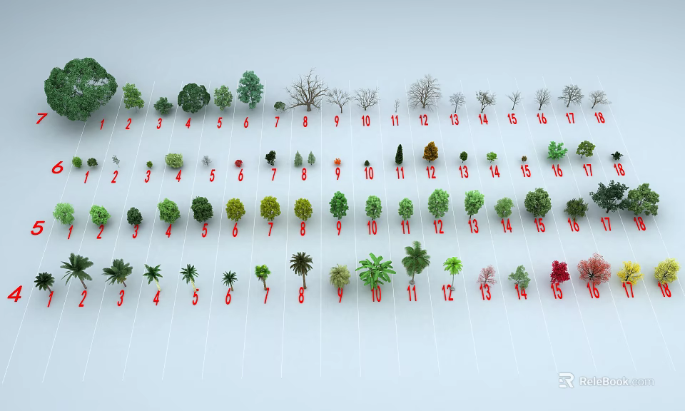 Different Arbor Tree Varieties with Various Leaf Shapes and Sizes 3d model