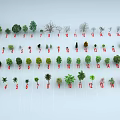 Different Arbor Tree Varieties with Various Leaf Shapes and Sizes 3d model