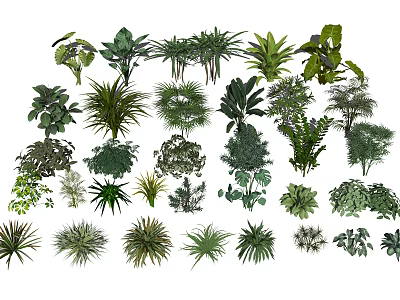Diverse Collection of Green Plants with Various Leaf Shapes and Foliage Types 3d model