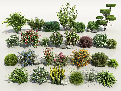 Diverse Garden Flowers And Shrubs Showcasing Various Colors Shapes And Natural Beauty 3d model