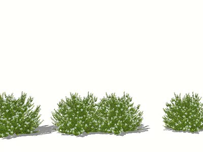 Modern Shrub Landscape Shrub Shrub Green Plant 3d model