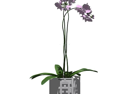 Purple Orchid Bonsai Potted Plant With Green Leaves And White Grid Patterned Pot 3d model