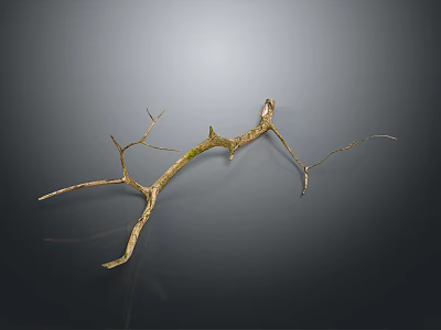 Natural Wood Branch With Mossy Texture For Rustic Home Decoration 3d model