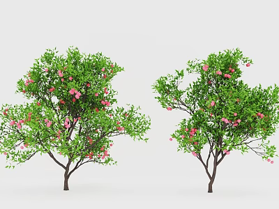 Two Arbor Trees With Green Leaves And Pink Flowers In Bloom 3d model
