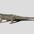 Komodo Dragon With Open Mouth Grayish Brown Skin And Sharp Claws Standing