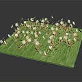 Lush Green Grass Surface Adorned With Small White Flowers And Fresh Plants
