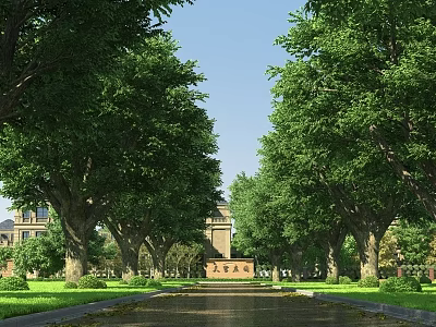 Municipal Road Lined With Tall Trees Green Lawns And Surrounding Buildings 3d model