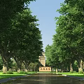 Municipal Road Lined With Tall Trees Green Lawns And Surrounding Buildings