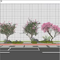 Plant Combination With Pink Flowering Trees Green Shrubs And Decorative Stones