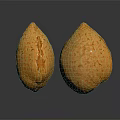 Two Brown Almonds With Textured Surface On Black Background And Reflection 3d model