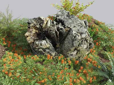 Natural Stone and Wood Elements in Outdoor Garden with Green Plants and Orange Flowers 3d model