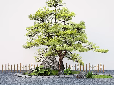 Traditional Garden Landscape with Pine Tree Stones Bamboo Fence and Stone Path Green Plants 3d model