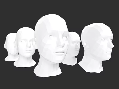 Low Polygon Male and Female Head Collection Figure Carving Anatomy 3d model