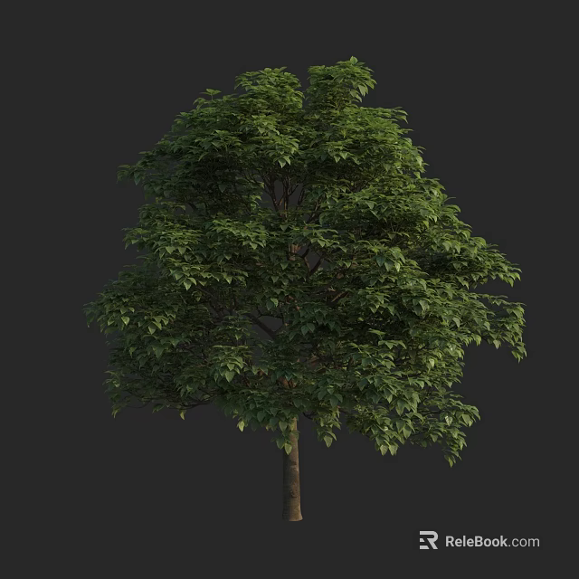 Lush Arbor With Green Leaves Tall Trunk And Dense Canopy 3d model