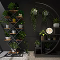 Decorative Ornament Combination Featuring Multi tiered Arched Shelves Wooden Metal Hanging Plants Round Moon Decor
