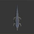 3D Crocodile Model With Blue Back Open Mouth And Gray Background Reflection