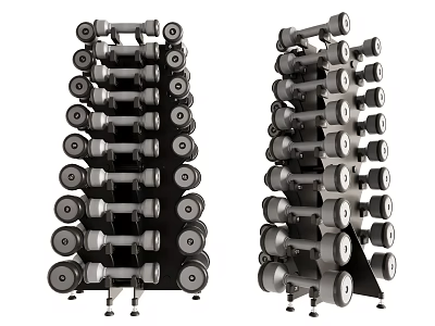 Black And Silver Dumbbell Racks With Organized Stacked Dumbbells For Gym Use 3d model
