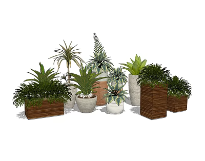 potted plant 3d model