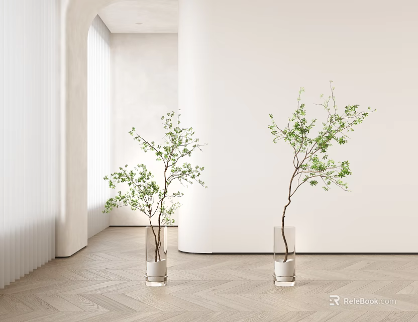 Transparent Vases With Green Leafy Branches In Room With Light Wooden Floor And White Walls 3d model 